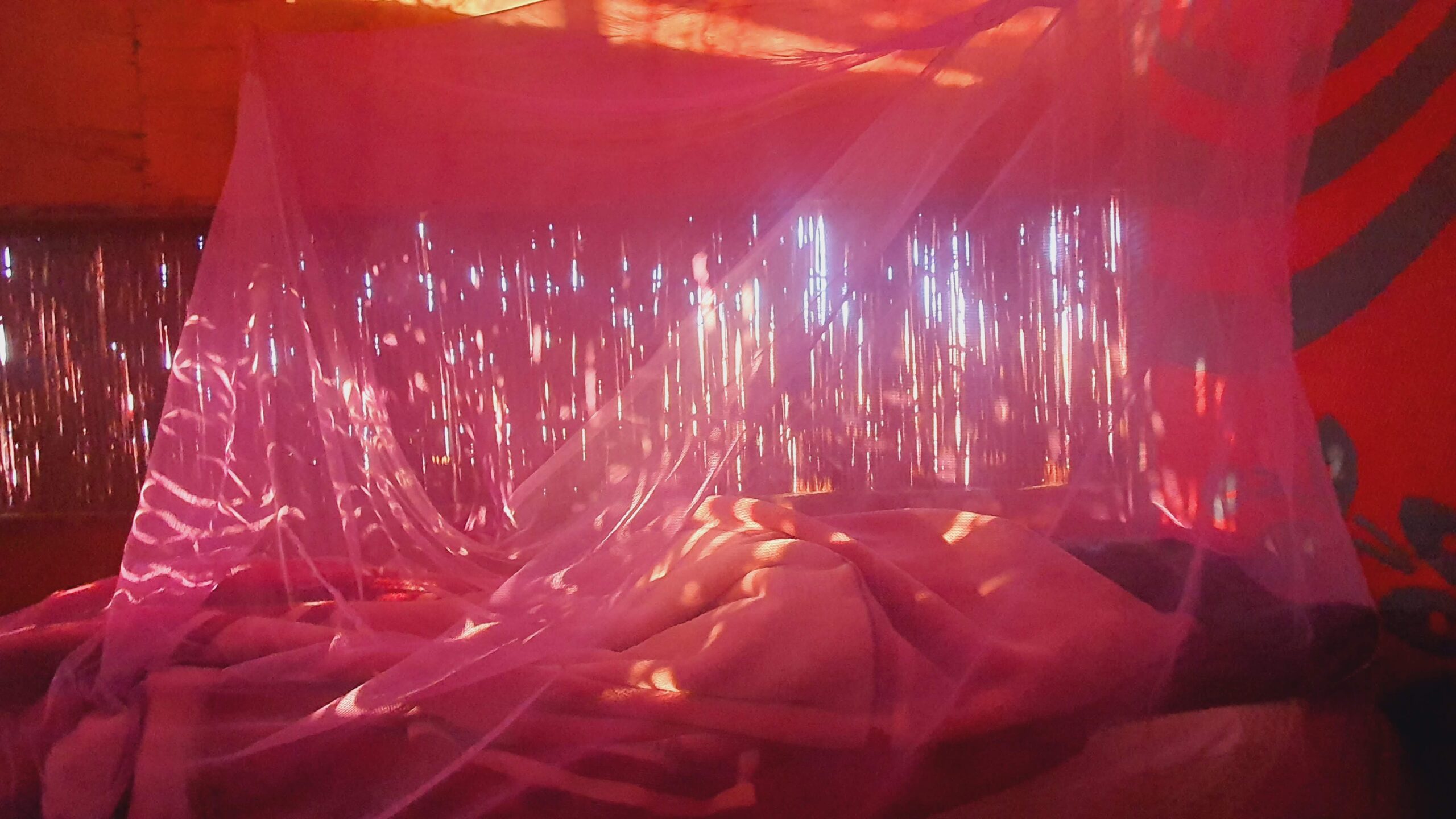 תמונות 30 מרץ 2023